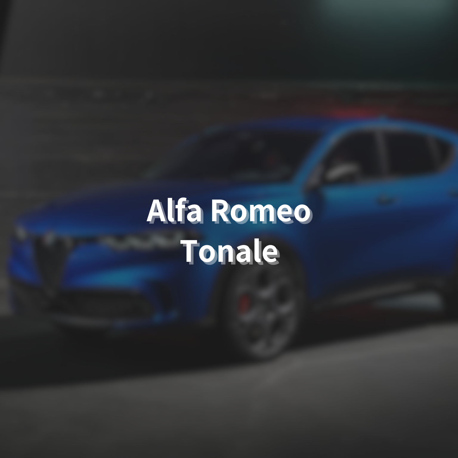 ALFA ROMEO TONALE Winter Package