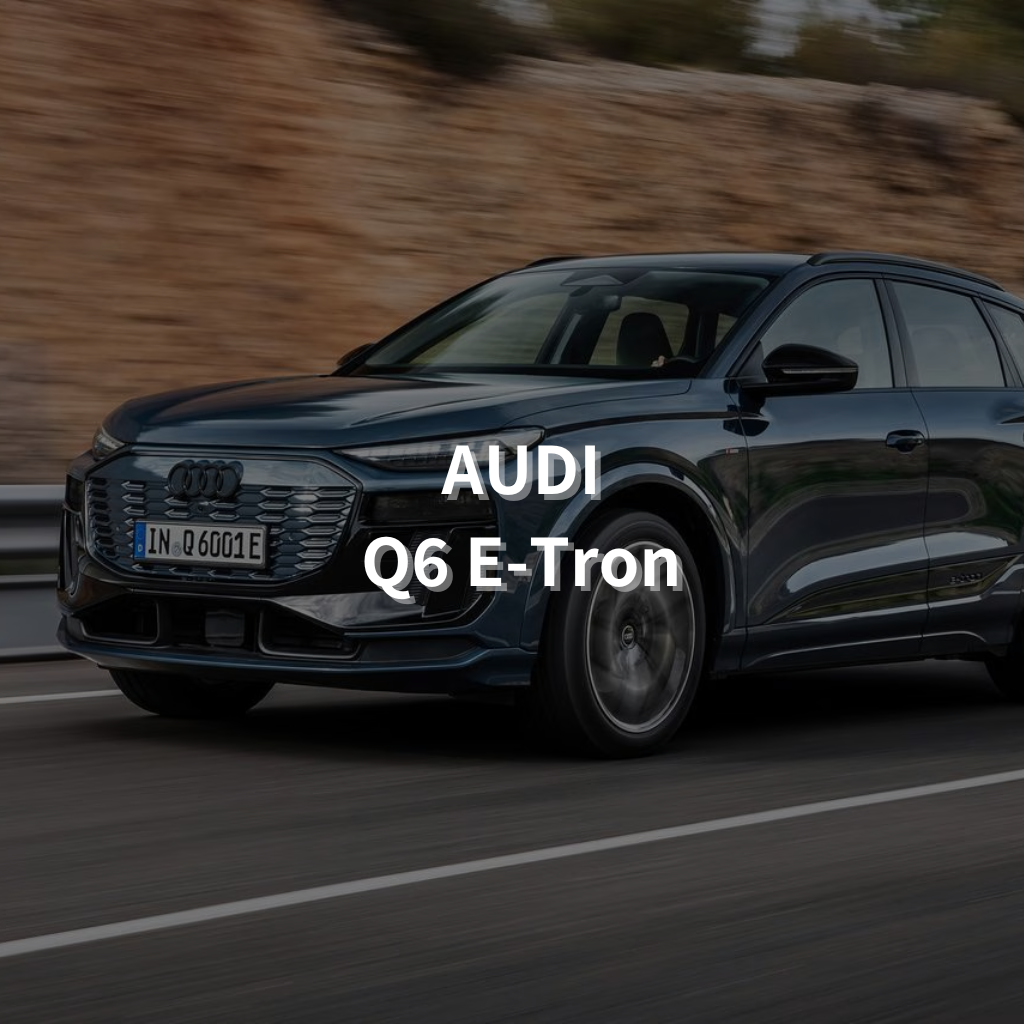 AUDI Q6 E-Tron Winter Package