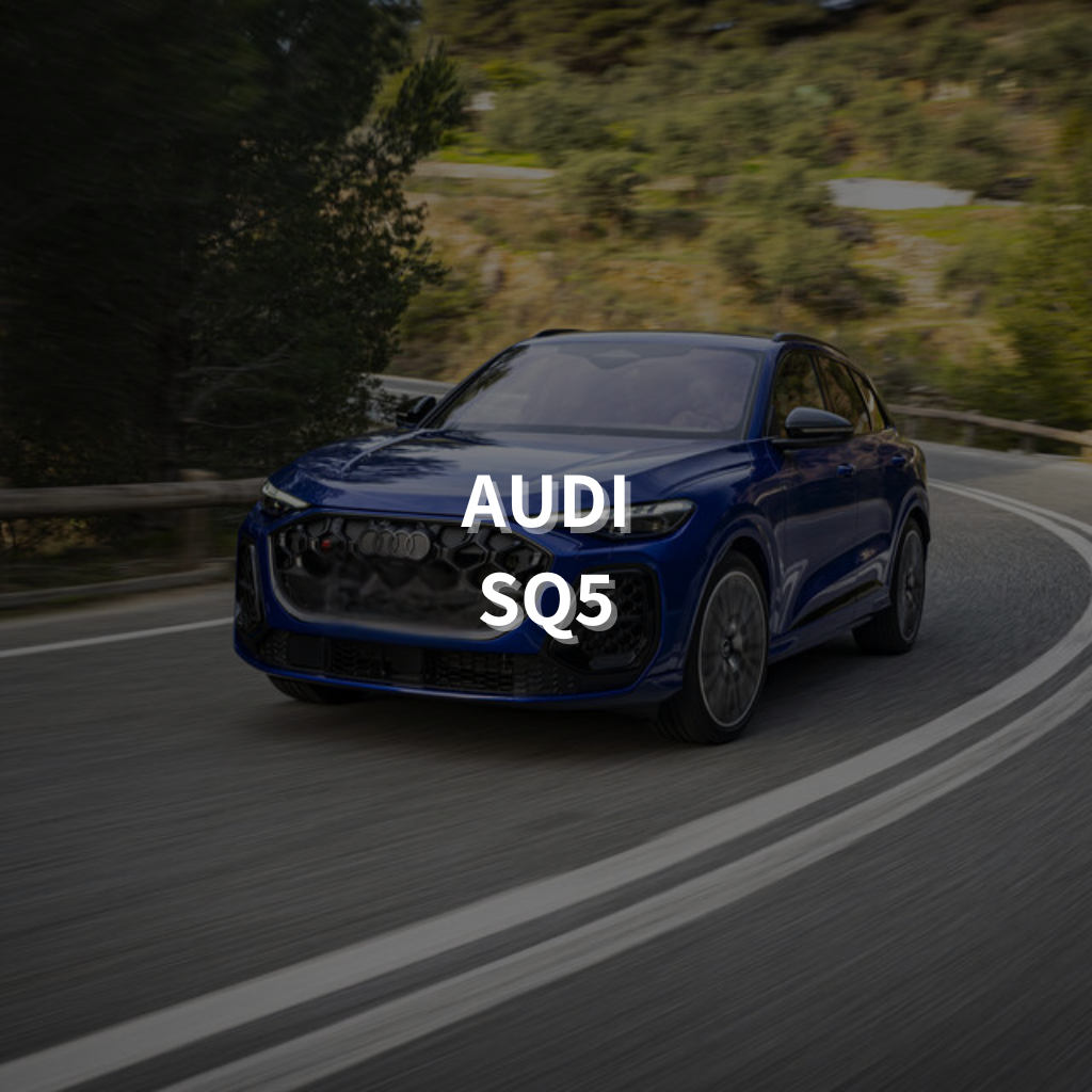 AUDI SQ5 Winter Package