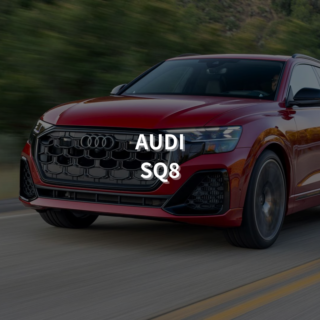 AUDI SQ8 Winter Package
