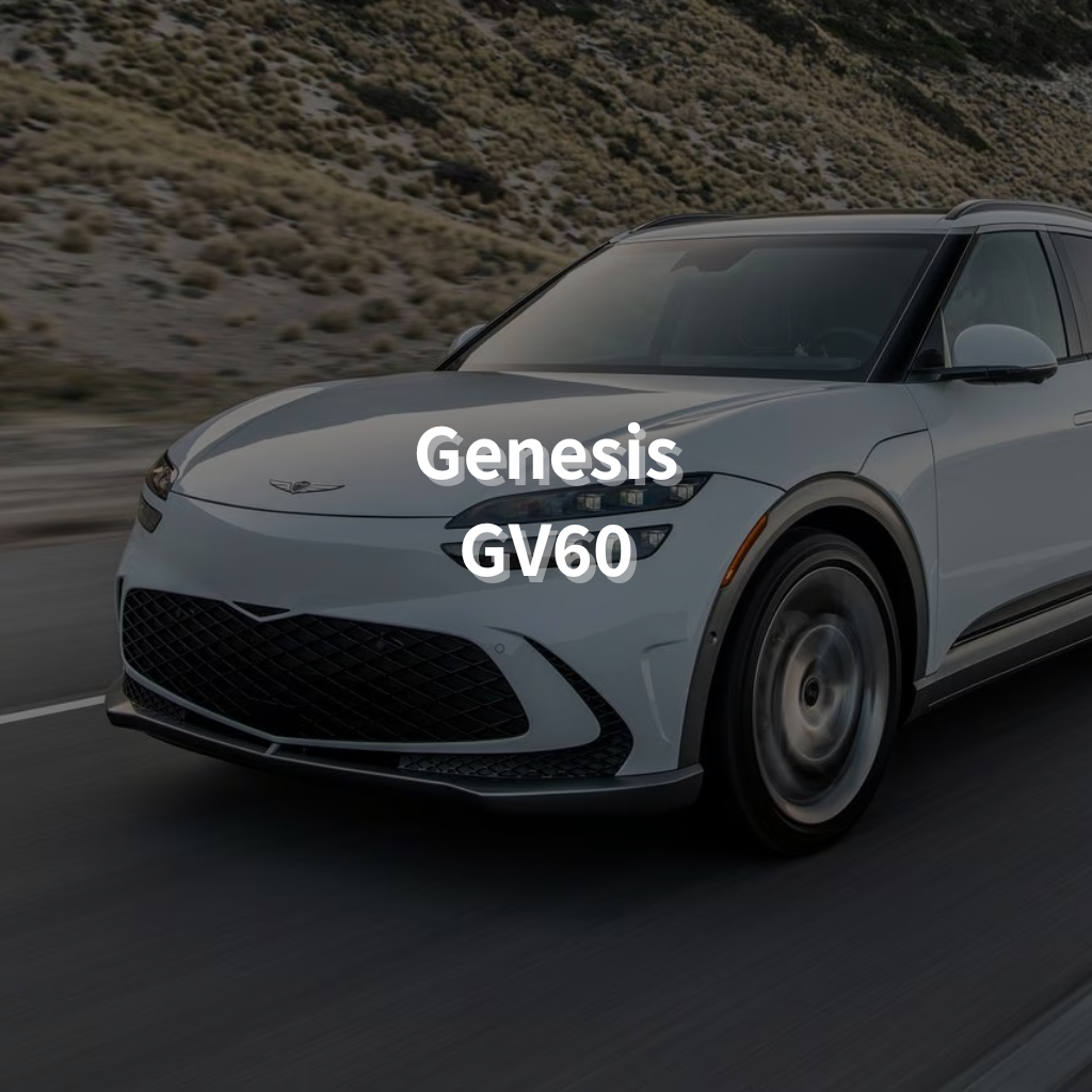 GENESIS GV60 Winter Package