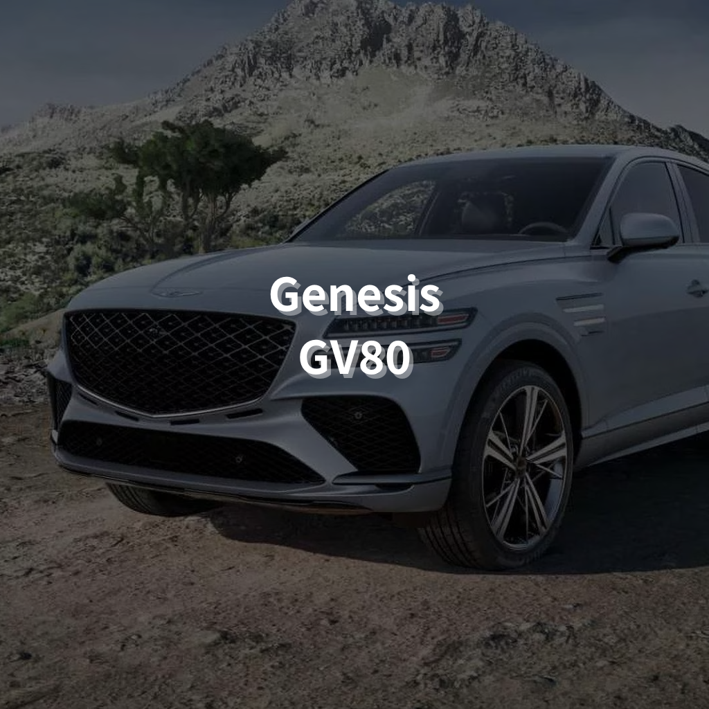 GENESIS GV80 Winter Package