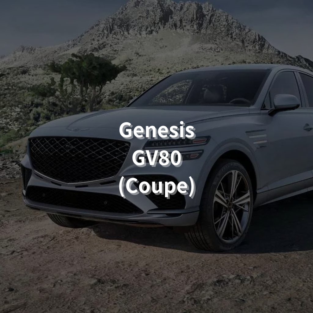 GENESIS GV80 (Coupe) Winter Package