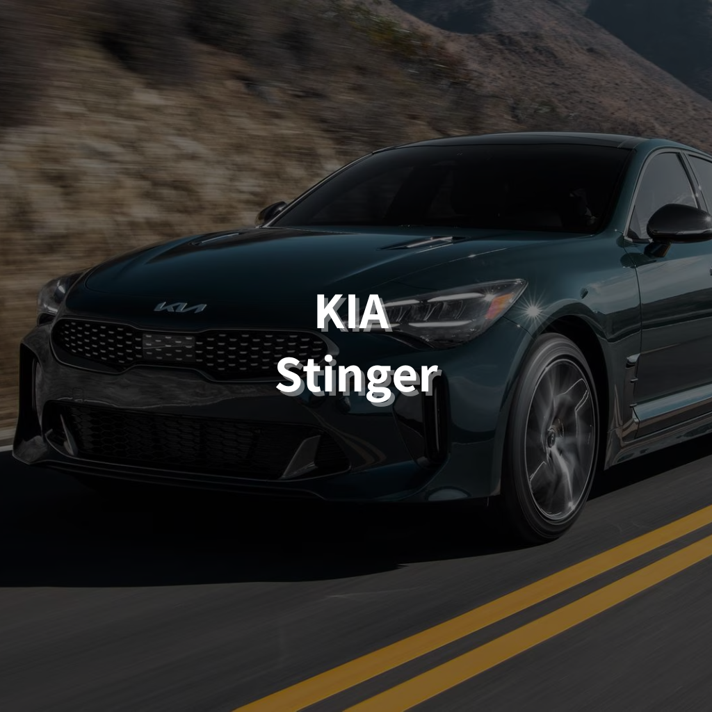 KIA STINGER Winter Package