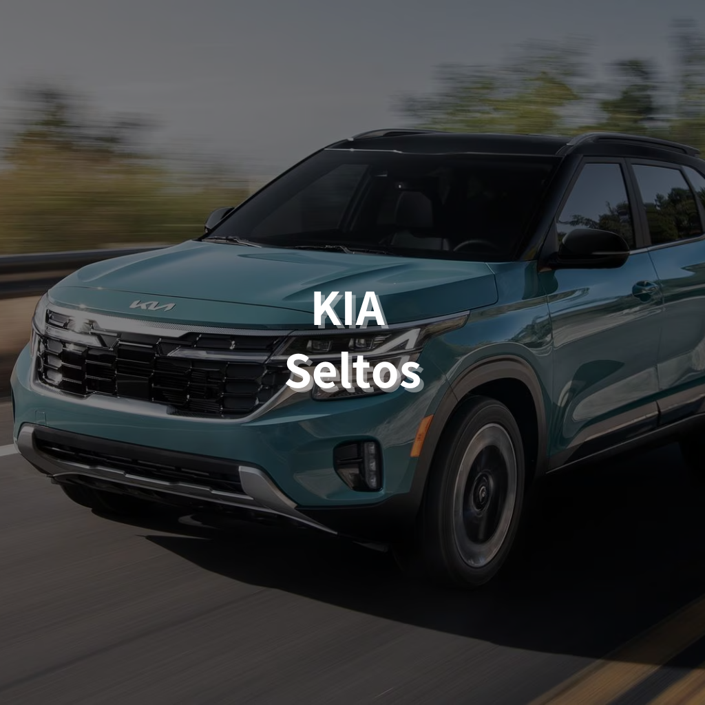 KIA SELTOS Winter Package