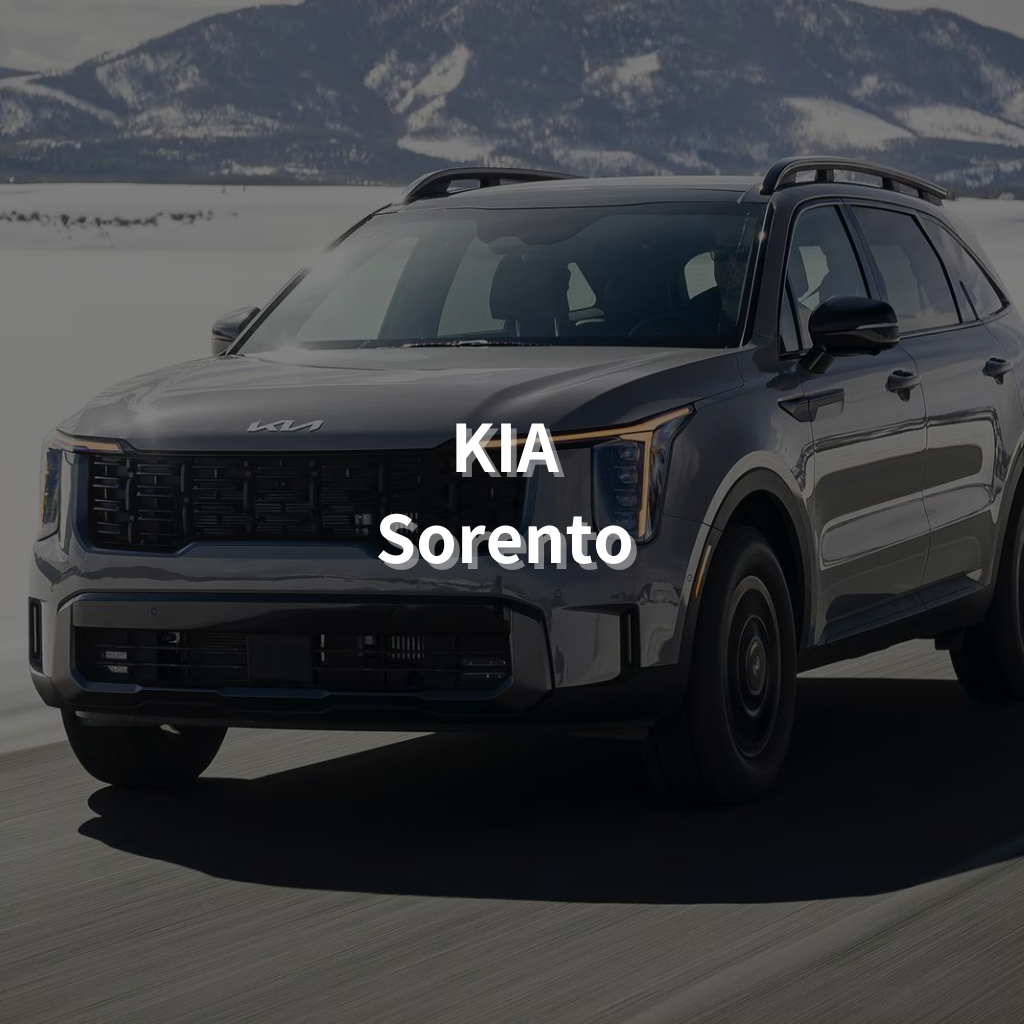 KIA SORENTO (PHEV) Winter Package