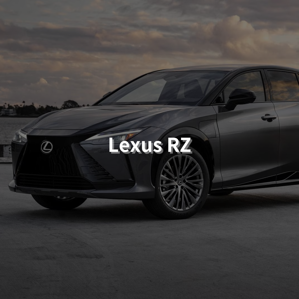 LEXUS RZ Winter Package