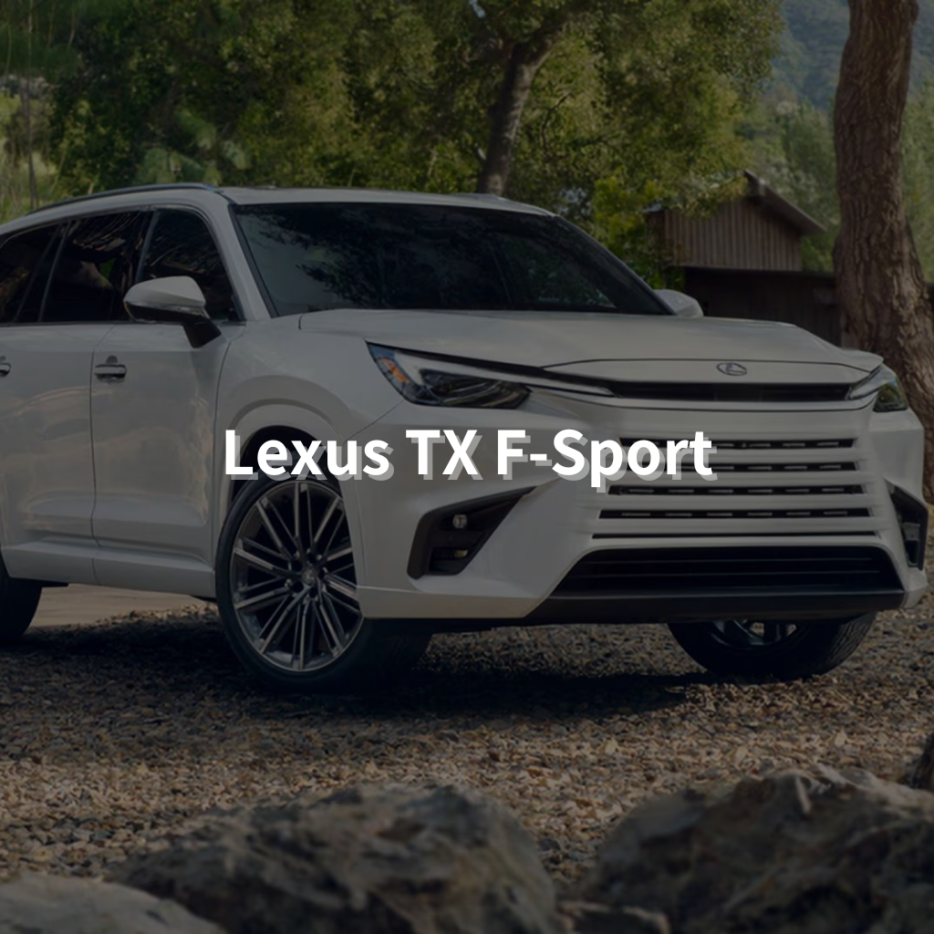 LEXUS TX F-SPORT Winter Package