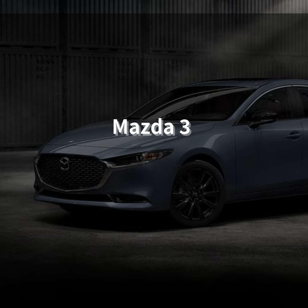MAZDA MAZDA 3 Winter Package