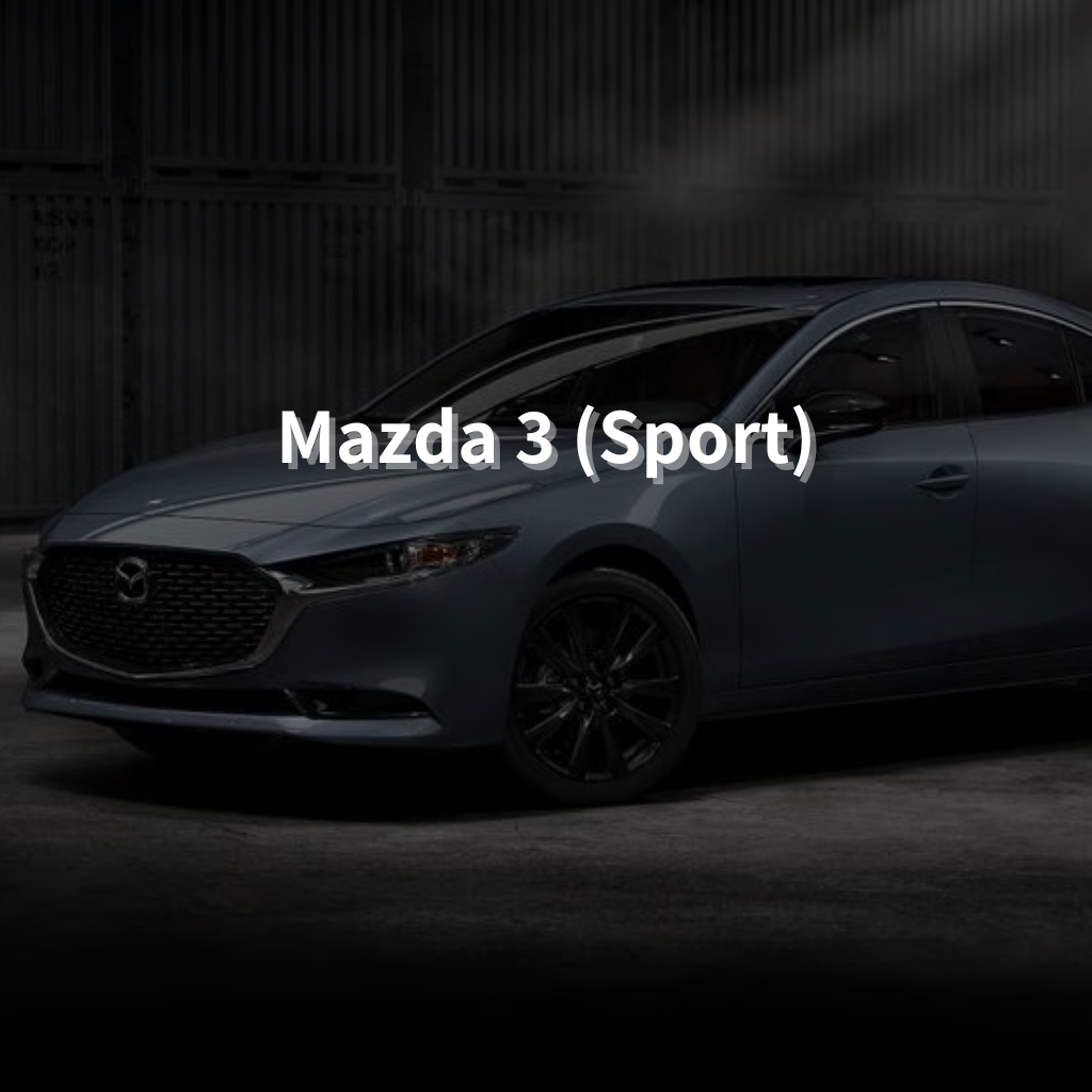 MAZDA MAZDA 3 (SPORT) Winter Package