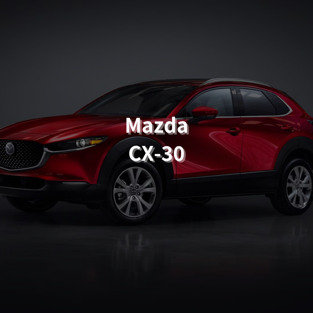 MAZDA CX-30 Winter Package