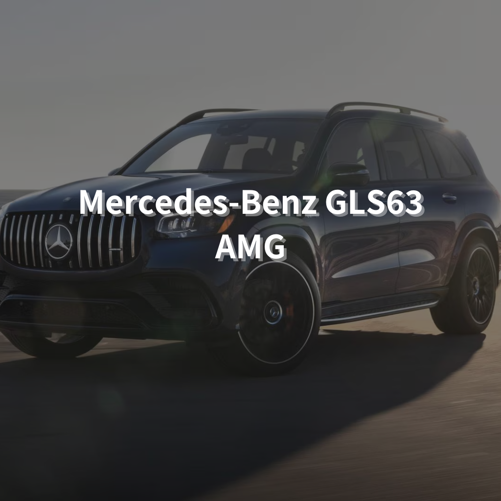 MERCEDES-BENZ GLS63 AMG Winter Package