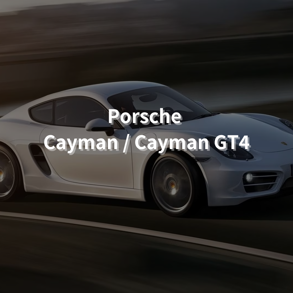 PORSCHE CAYMAN / CAYMAN GT4 Winter Package