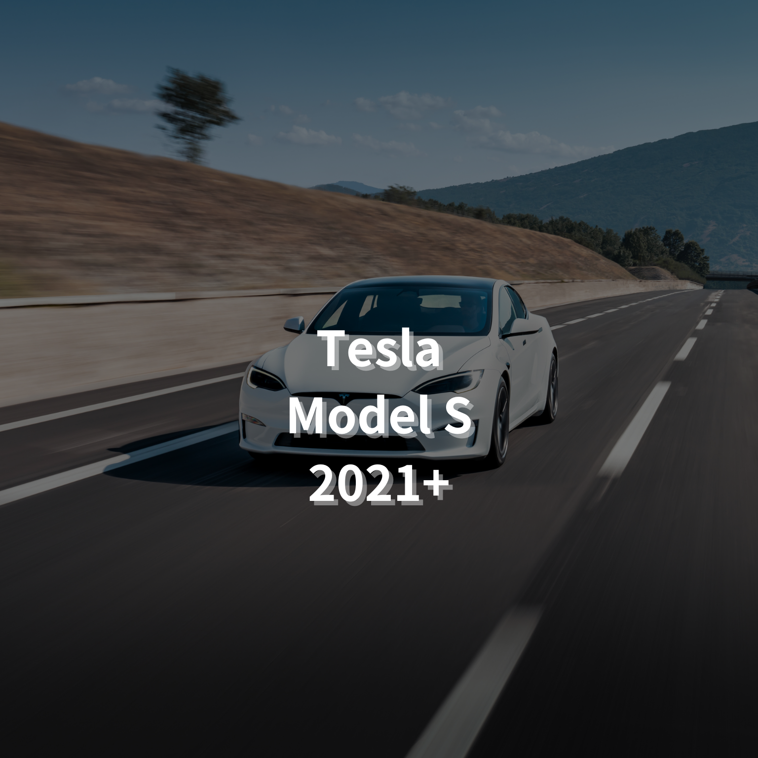 TESLA Model S 2021+ 19" Winter Package