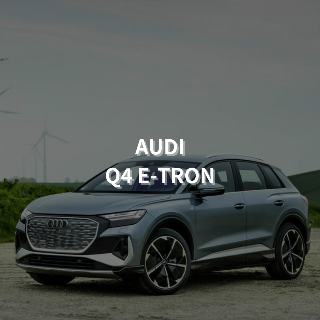 Audi Q4 E-Tron 19" Summer Package