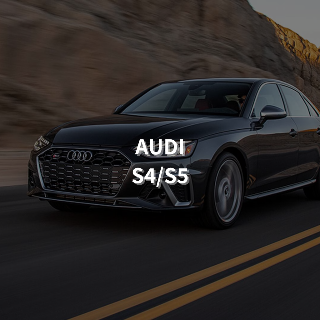 Audi S4/S5 19" Summer Package