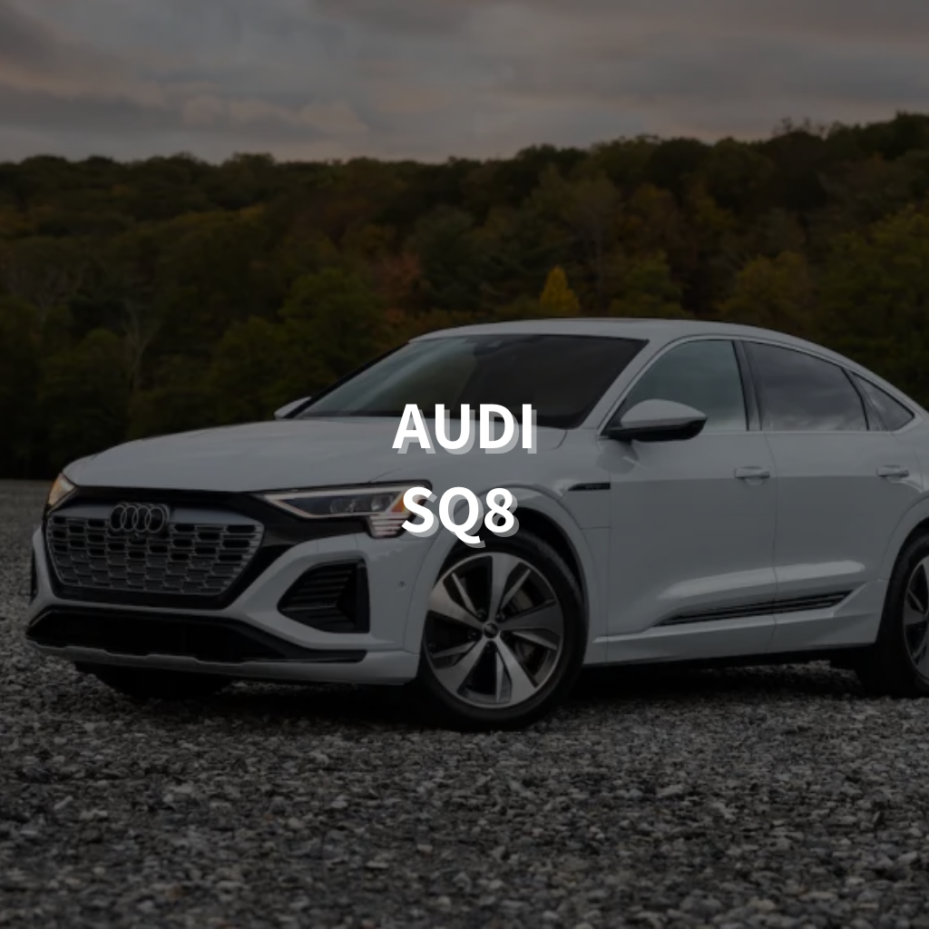 Audi SQ8 21" Summer Package