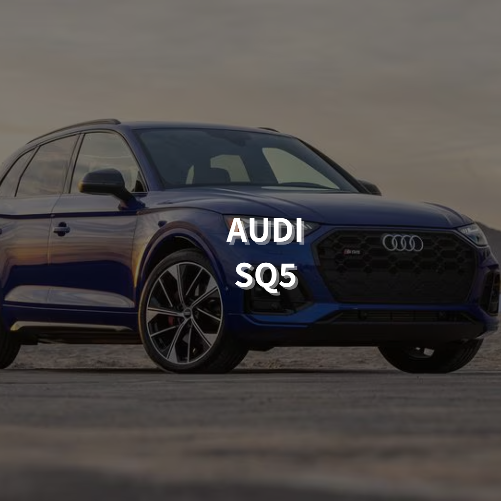 Audi SQ5 2017+ 21" Summer Package