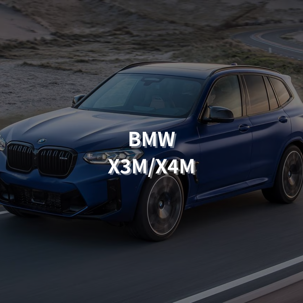 BMW X3M 20" Summer Package