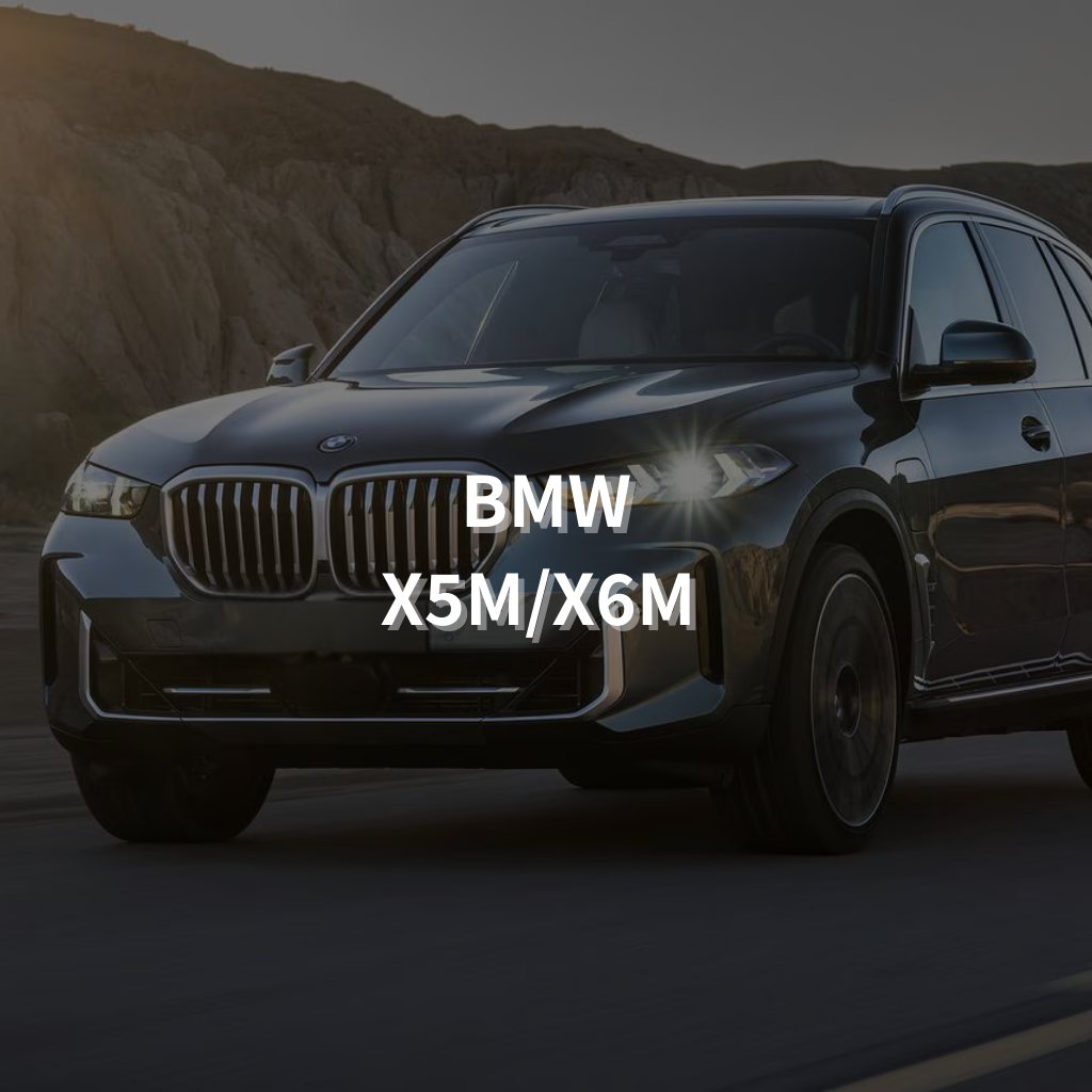 BMW X5M/X6M 21" Summer Package