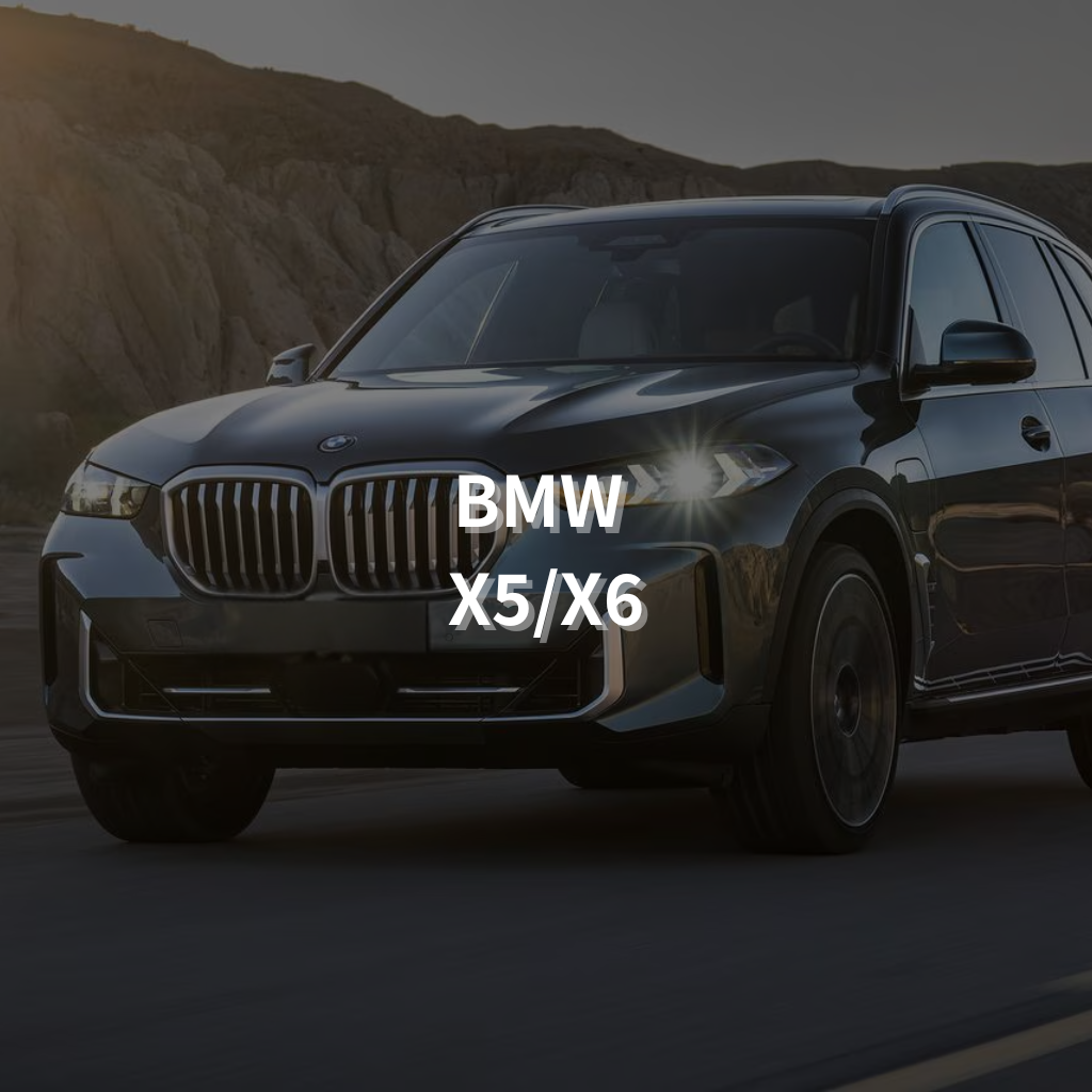BMW X5/X6 20" Summer Package