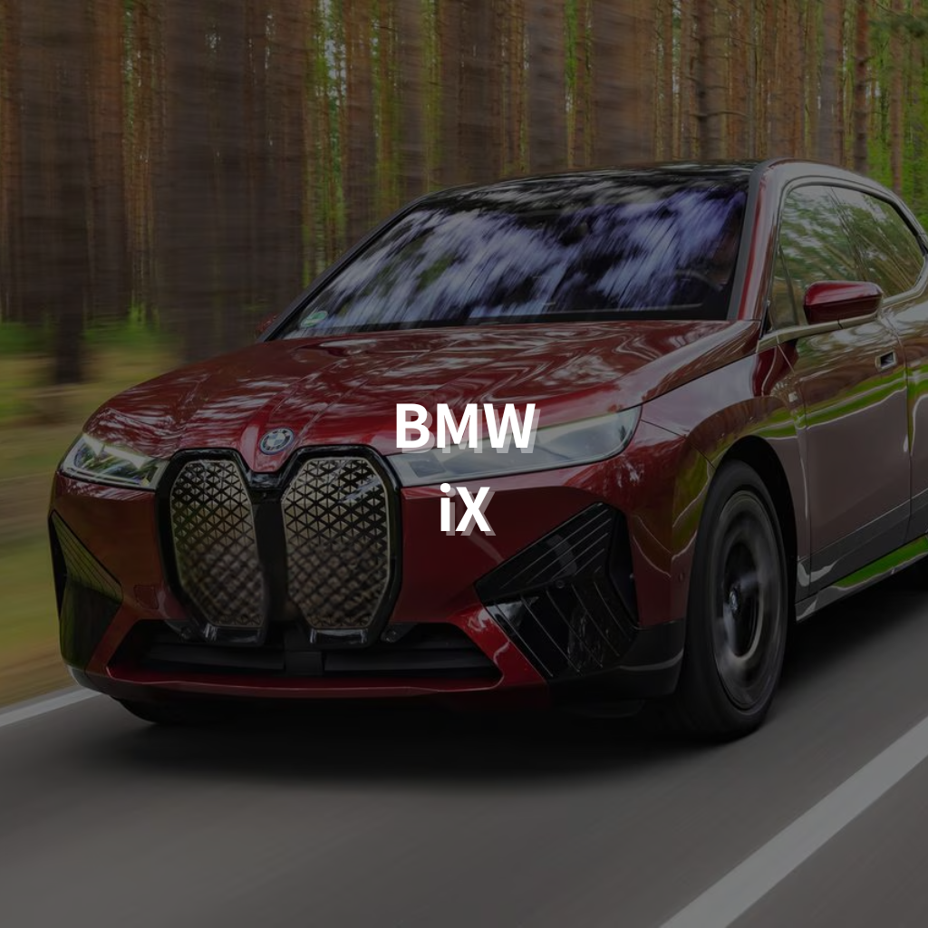 BMW iX 20" Summer Package