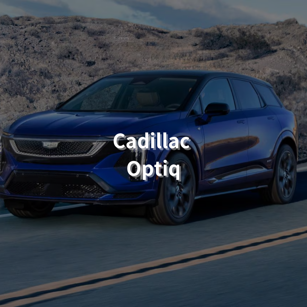 Cadillac OPTIQ 20" Summer Package