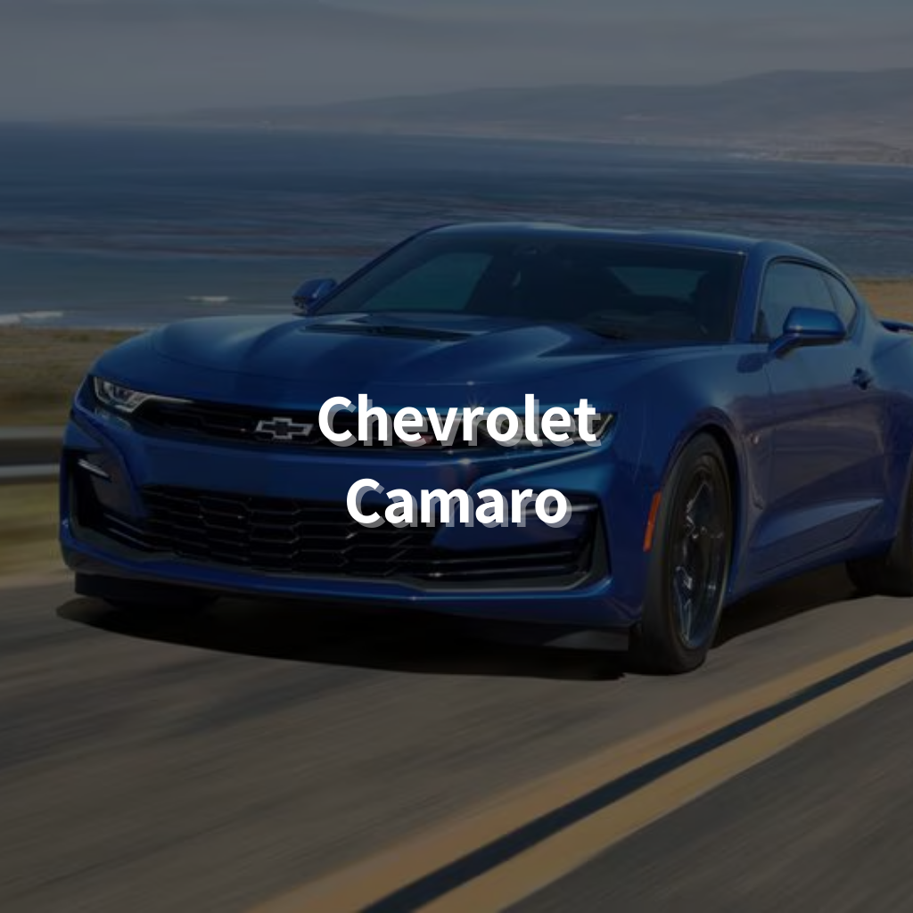 Chevrolet Camaro 20" Summer Package