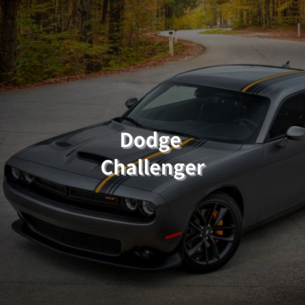 Dodge Challenger (Excl. SRT) 20" Summer Package