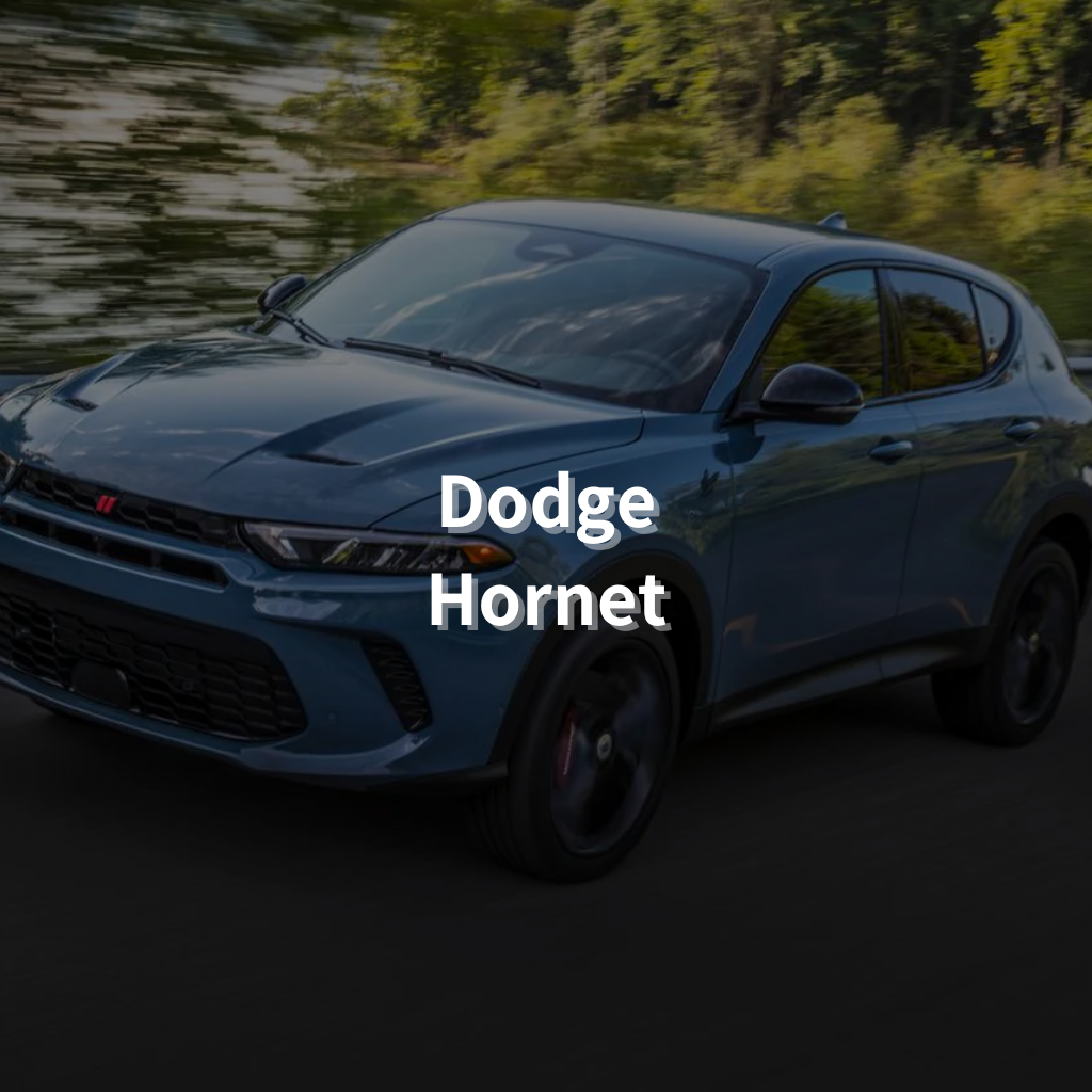Dodge Hornet 17" Summer Package