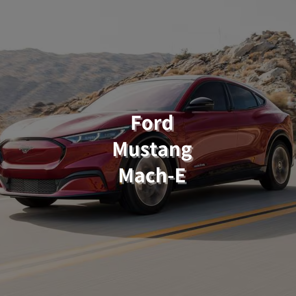 Ford Mustang Mach-E 20" Summer Package