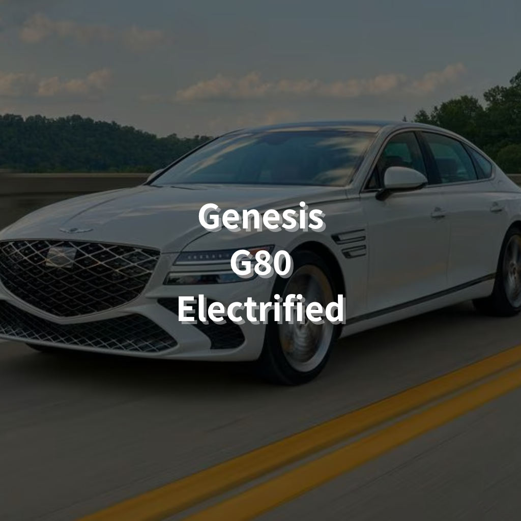 Genesis G80 EV 19" Summer Package