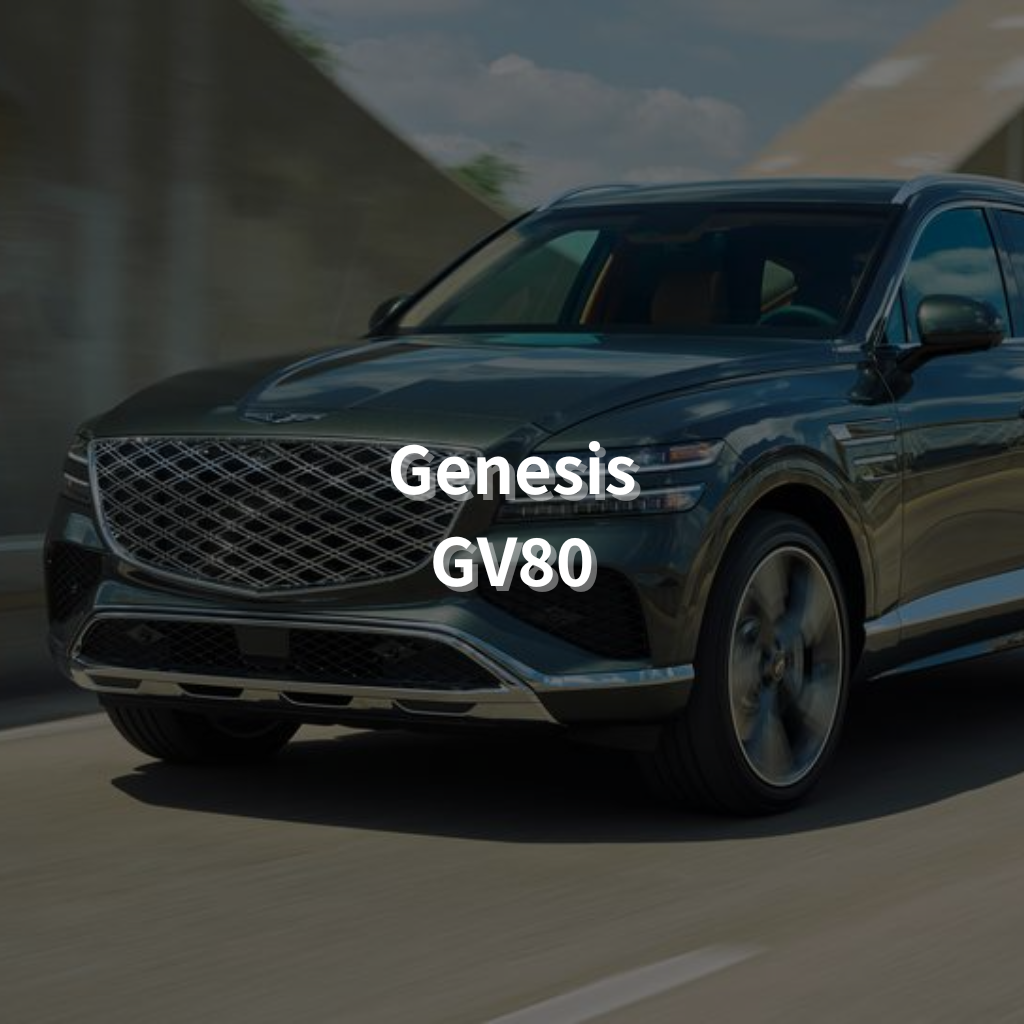 Genesis GV80 20" Summer Package