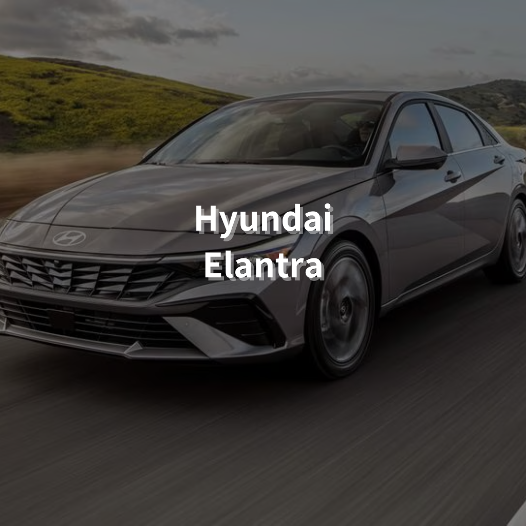 Hyundai Elantra 16" Summer Package