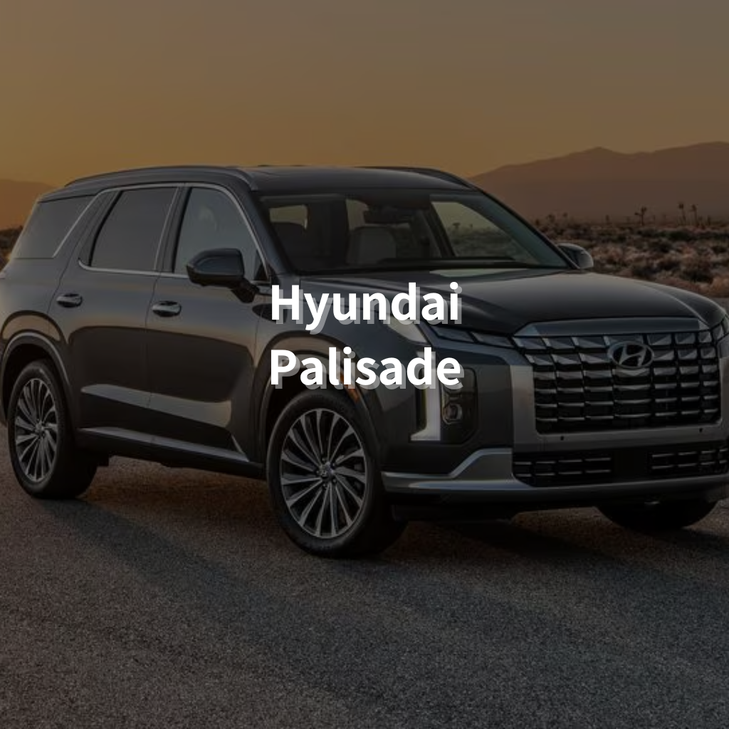 Hyundai Palisade 20" Summer Package