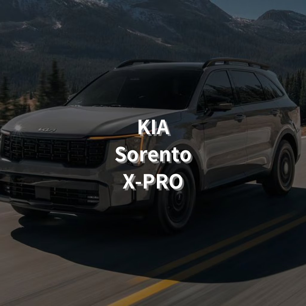 KIA SORENTO X-PRO 17" Summer Package