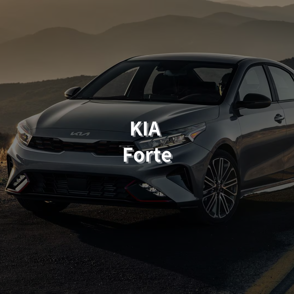 KIA Forte 17" Summer Package