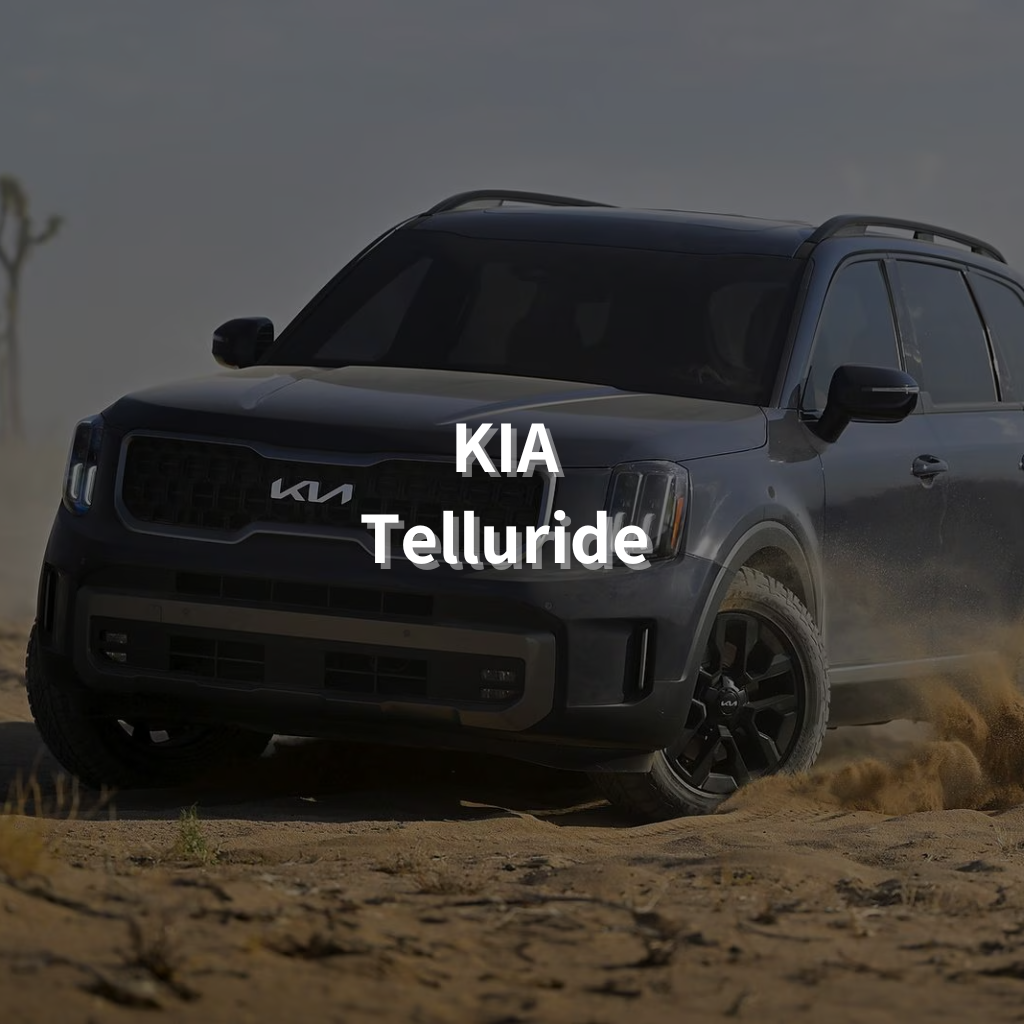 KIA Telluride 18" Summer Package