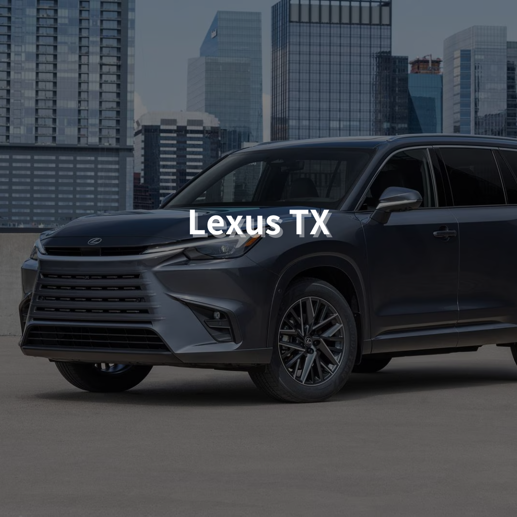 LEXUS TX Winter Package