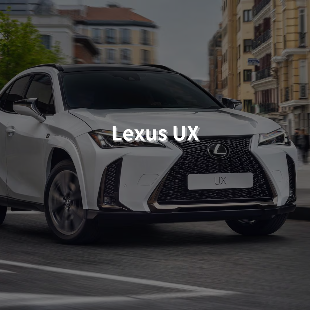Lexus UX 18" Summer Package
