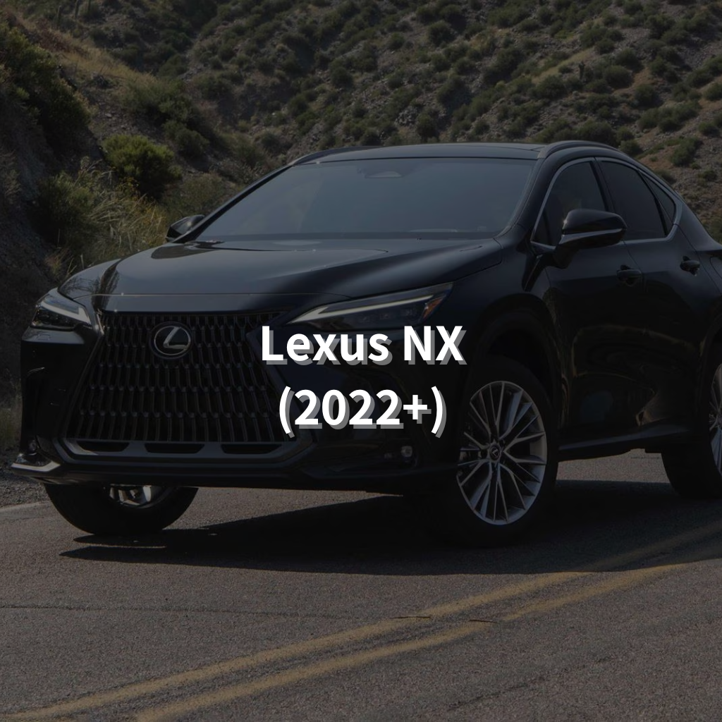 Lexus NX (2022+) 18" Summer Package