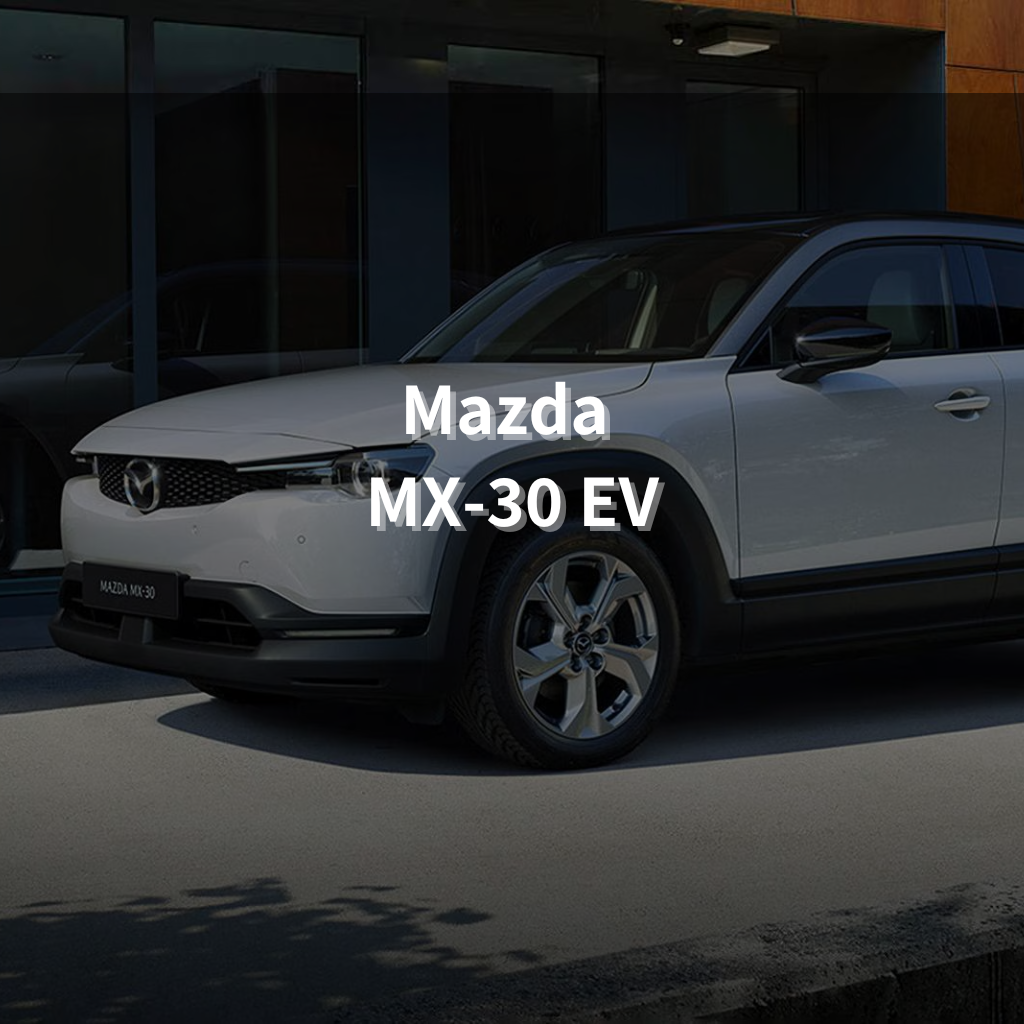 Mazda MX-30 EV 17" Summer Package