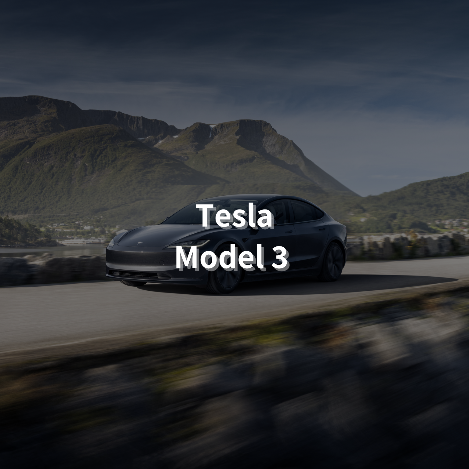 TESLA Model 3 18" Winter Package