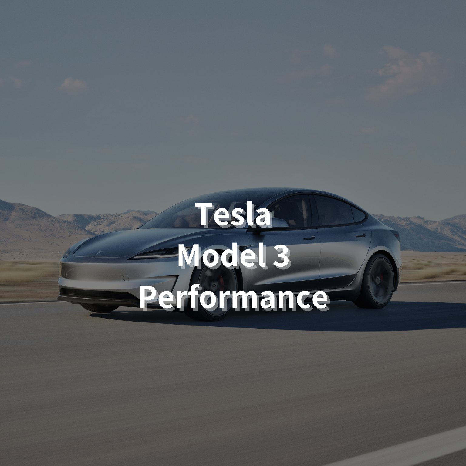 TESLA Model 3 Performance 18" Winter Package