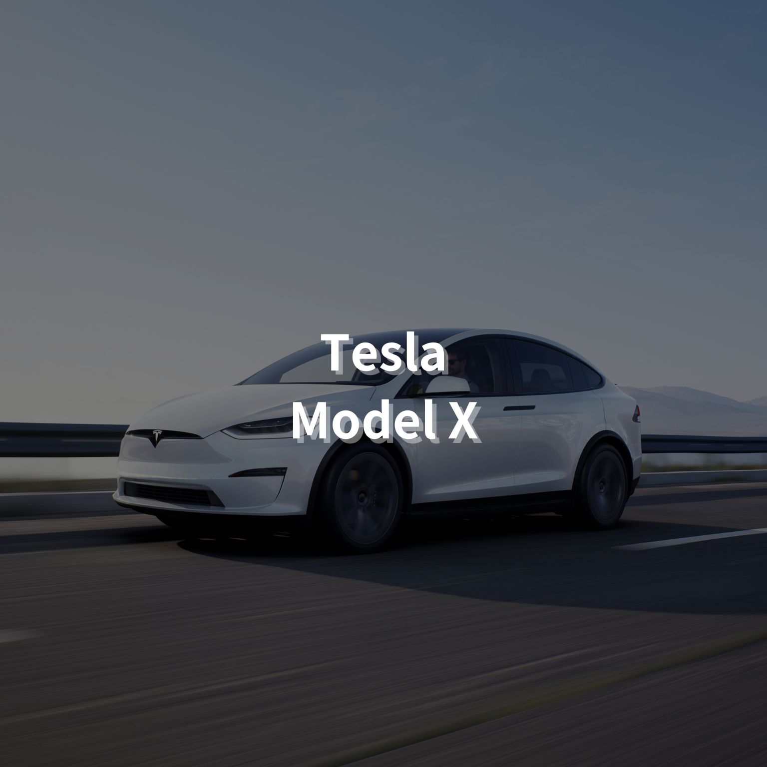 Tesla Model X 20" Summer Package