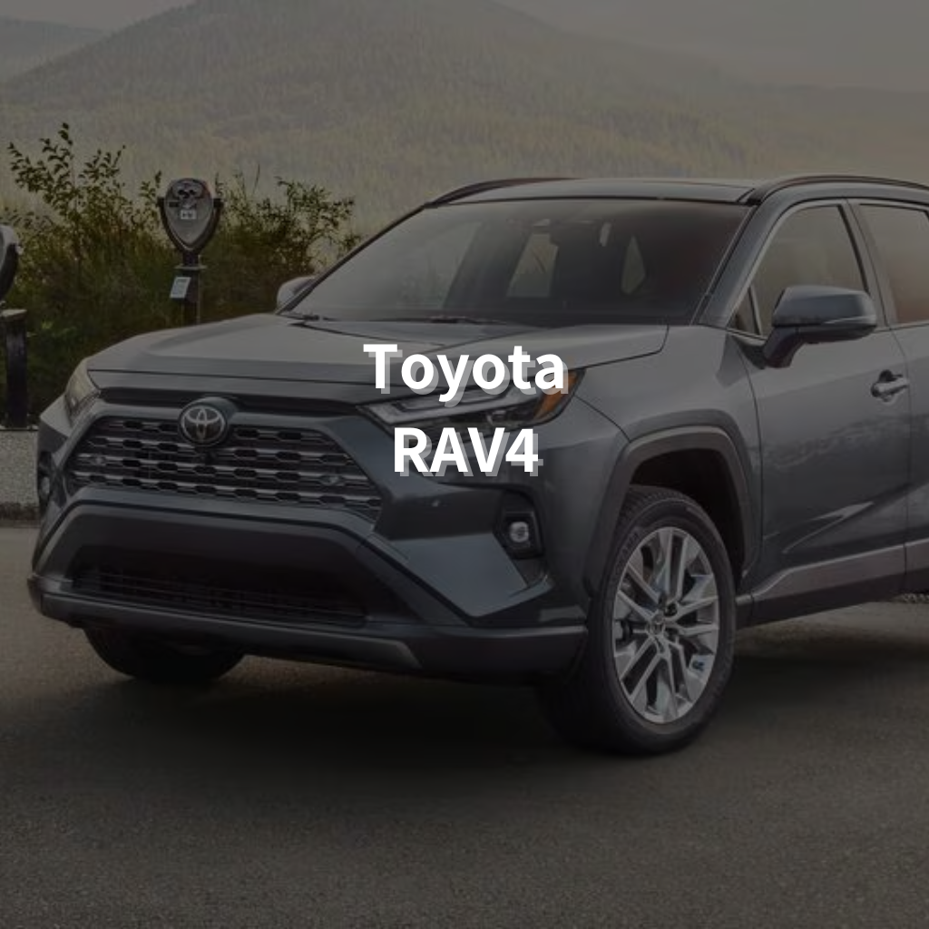Toyota Rav4 18" Summer Package