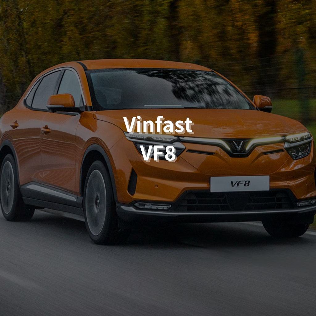 Vinfast VF8 20" Summer Package