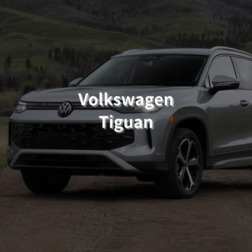 Volkswagen Tiguan 18" Summer Package